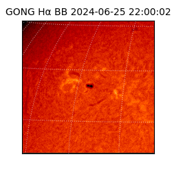 gong - 2024-06-25T22:00:02