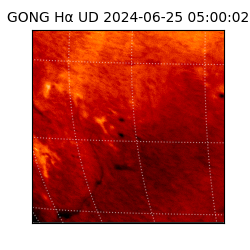 gong - 2024-06-25T05:00:02