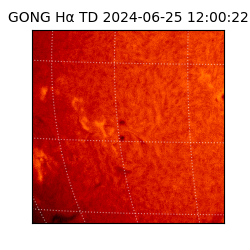 gong - 2024-06-25T12:00:22