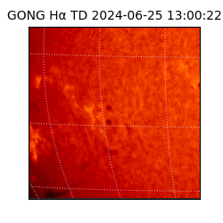 gong - 2024-06-25T13:00:22