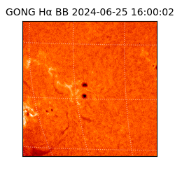 gong - 2024-06-25T16:00:02