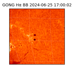 gong - 2024-06-25T17:00:02