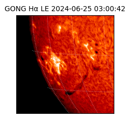 gong - 2024-06-25T03:00:42