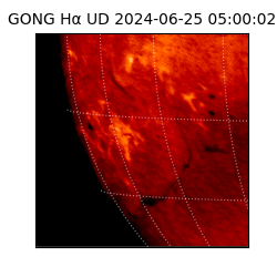 gong - 2024-06-25T05:00:02