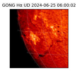gong - 2024-06-25T06:00:02