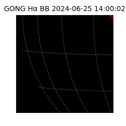 gong - 2024-06-25T14:00:02