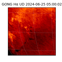 gong - 2024-06-25T05:00:02