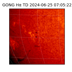 gong - 2024-06-25T07:05:22