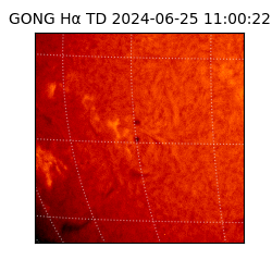 gong - 2024-06-25T11:00:22