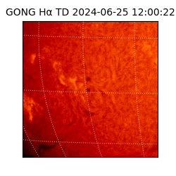 gong - 2024-06-25T12:00:22