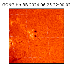 gong - 2024-06-25T22:00:02