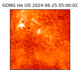 gong - 2024-06-25T05:00:02