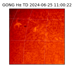 gong - 2024-06-25T11:00:22