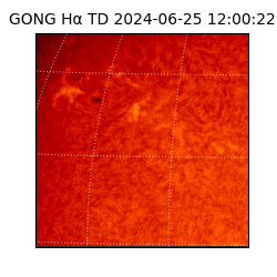 gong - 2024-06-25T12:00:22