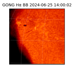 gong - 2024-06-25T14:00:02