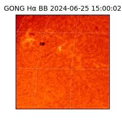 gong - 2024-06-25T15:00:02