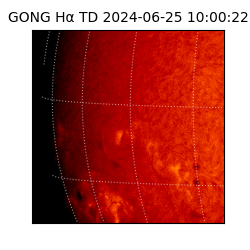 gong - 2024-06-25T10:00:22