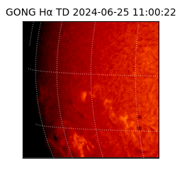 gong - 2024-06-25T11:00:22