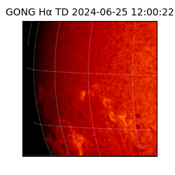 gong - 2024-06-25T12:00:22