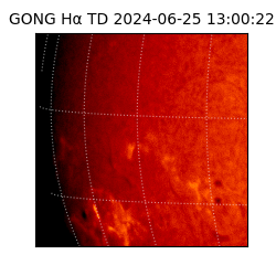 gong - 2024-06-25T13:00:22