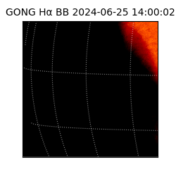 gong - 2024-06-25T14:00:02
