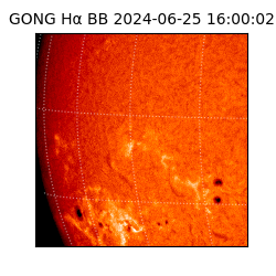 gong - 2024-06-25T16:00:02