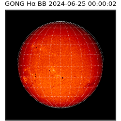 gong - 2024-06-25T00:00:02