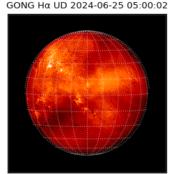 gong - 2024-06-25T05:00:02