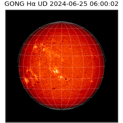 gong - 2024-06-25T06:00:02