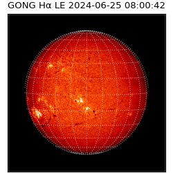 gong - 2024-06-25T08:00:42