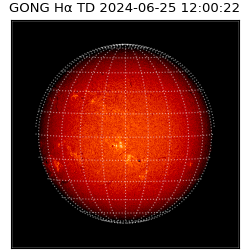 gong - 2024-06-25T12:00:22