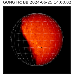 gong - 2024-06-25T14:00:02