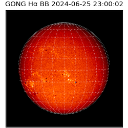 gong - 2024-06-25T23:00:02