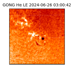 gong - 2024-06-26T03:00:42