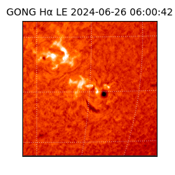 gong - 2024-06-26T06:00:42