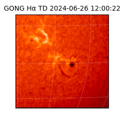 gong - 2024-06-26T12:00:22