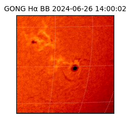 gong - 2024-06-26T14:00:02