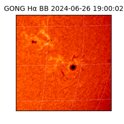 gong - 2024-06-26T19:00:02