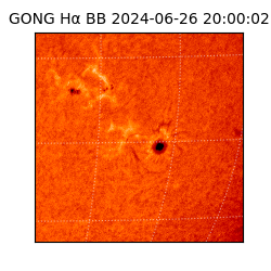 gong - 2024-06-26T20:00:02