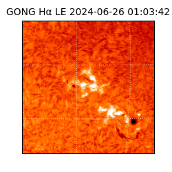 gong - 2024-06-26T01:03:42