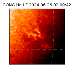 gong - 2024-06-26T02:00:42