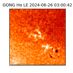 gong - 2024-06-26T03:00:42