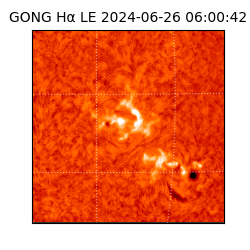 gong - 2024-06-26T06:00:42