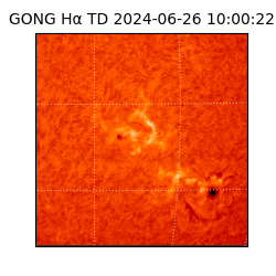 gong - 2024-06-26T10:00:22