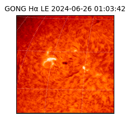 gong - 2024-06-26T01:03:42