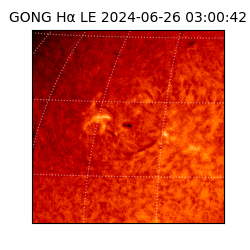 gong - 2024-06-26T03:00:42