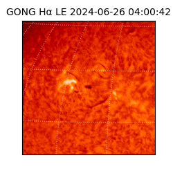 gong - 2024-06-26T04:00:42