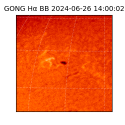 gong - 2024-06-26T14:00:02