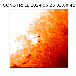 gong - 2024-06-26T02:00:42