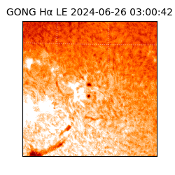 gong - 2024-06-26T03:00:42